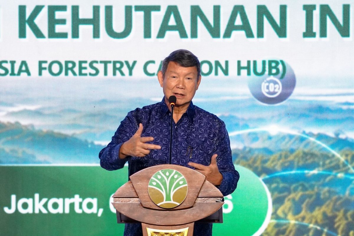 Hashim: Forestry carbon trading supports Indonesia's emission reduction targets