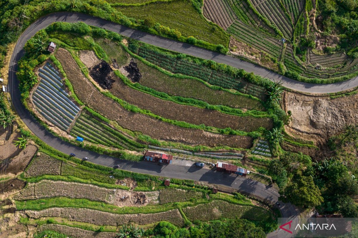 West Sumatra allocates Rp20 billion budget for provincial road repairs