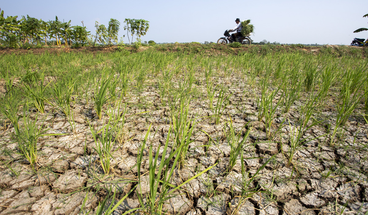 UGM Expert: Indonesia Enters Climate Crisis Phase, Development Must Consider Environmental Capacity