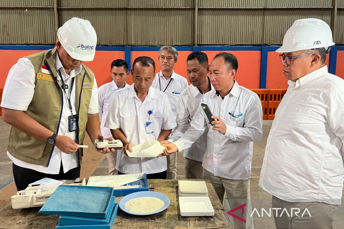 Bulog CEO Ensures Rice Quality in Papua is Safe and Maintained for Residents