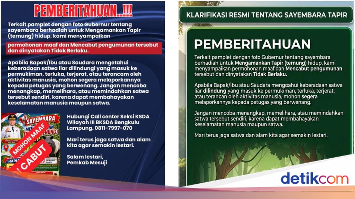 Contest to Capture Tapir Alive in Mesuji with Rp 50 Million Prize Cancelled