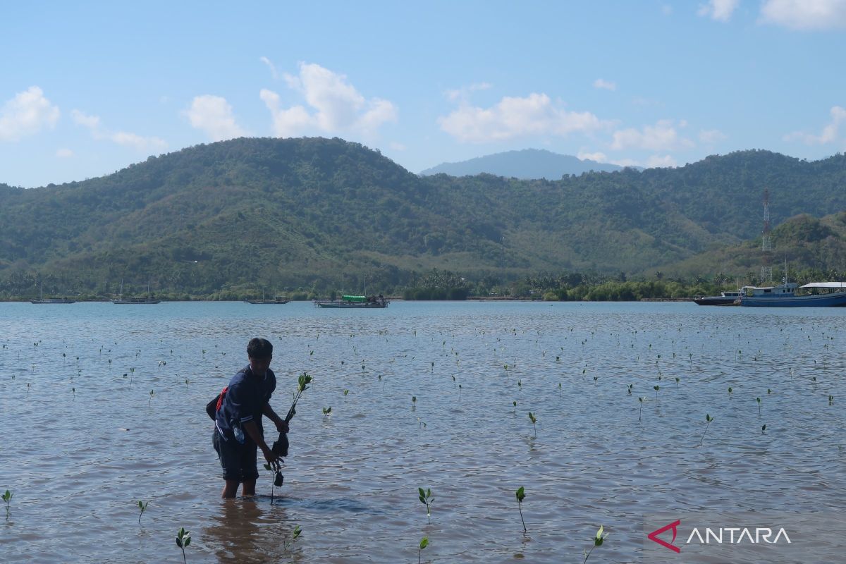 NTB Prepares Regional-Owned Enterprise for Carbon Trading to Boost Green Economy