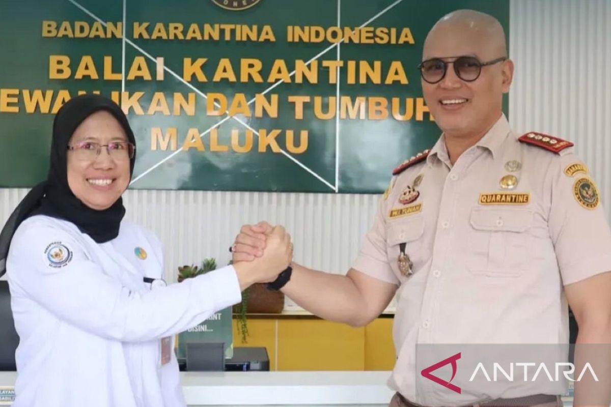 Maluku's BKHIT and BPPMHKP Strengthen Competitiveness of Leading Fishery Products