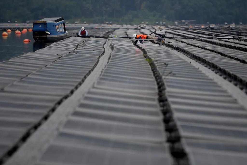 Bahlil: Electricity Export Rules to Be Drafted After Price Agreement