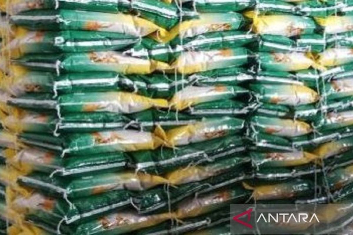 Bangka Belitung strengthens rice stock to prevent price hikes