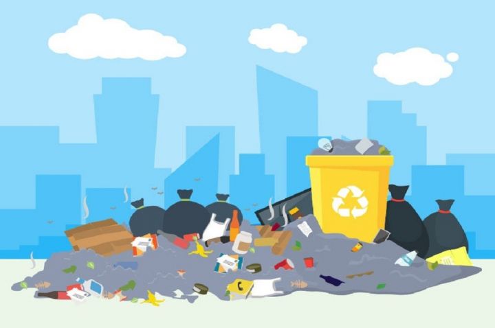 Taking Cues from China and Japan, Rosan Says Waste-to-Energy Plants Are Not Smelly, Even Stand in Elite Residential Areas