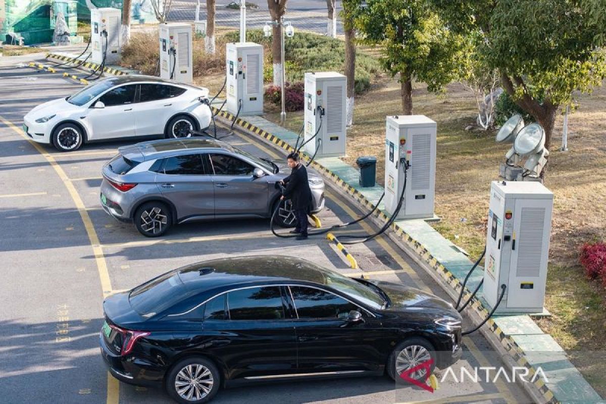 China's Electric Vehicle Sales Decline in Domestic Market