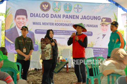 Innovative Corn Seed Technology Boosts Maize Productivity in Ponorogo