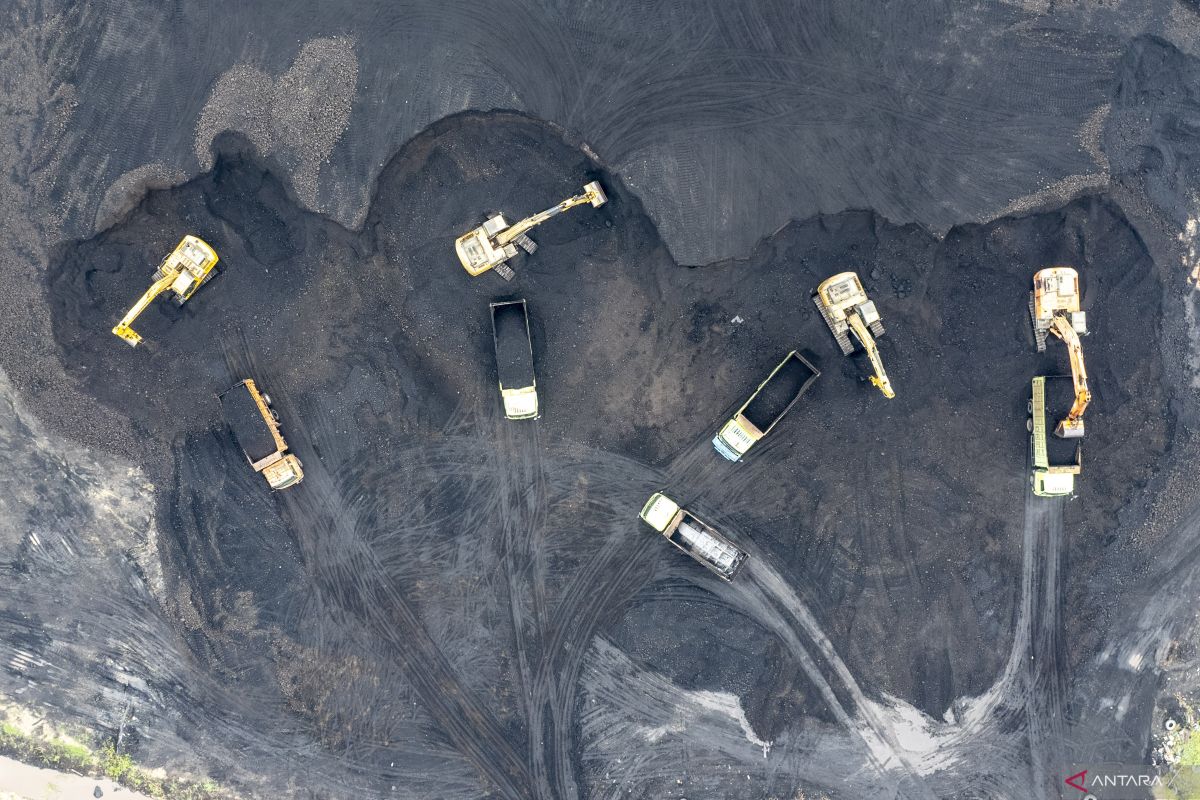 Indonesia prioritizes energy security over fossil fuel phase-out: DEN