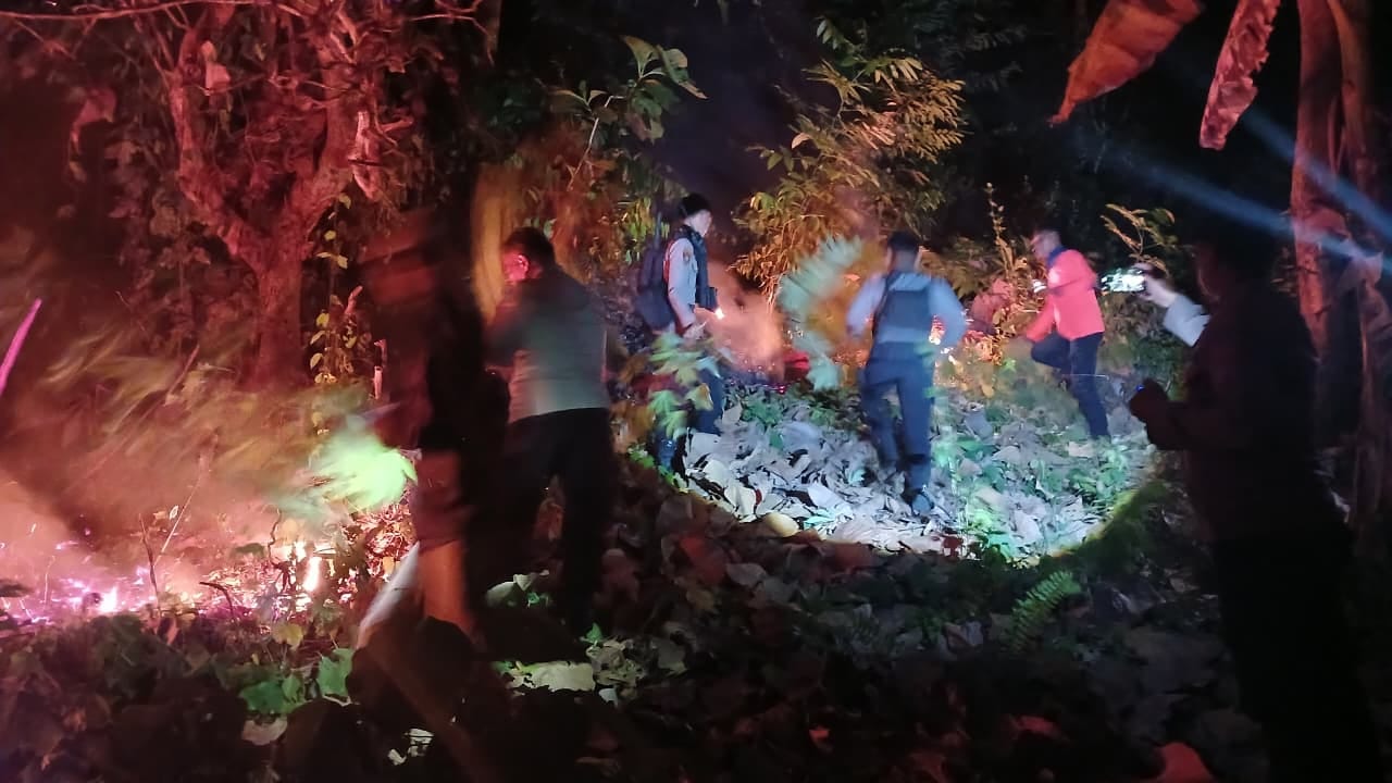 Fire Consumes One Hectare of Forest in Mamuju, BPBD Deploys Full Force
