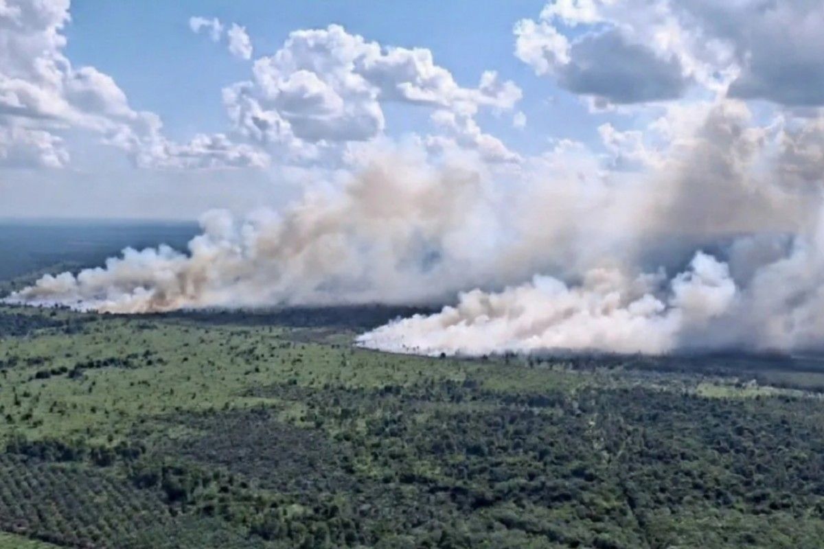 BNPB deploys two water-bombing helicopters to tackle forest fires in East Kotawaringin