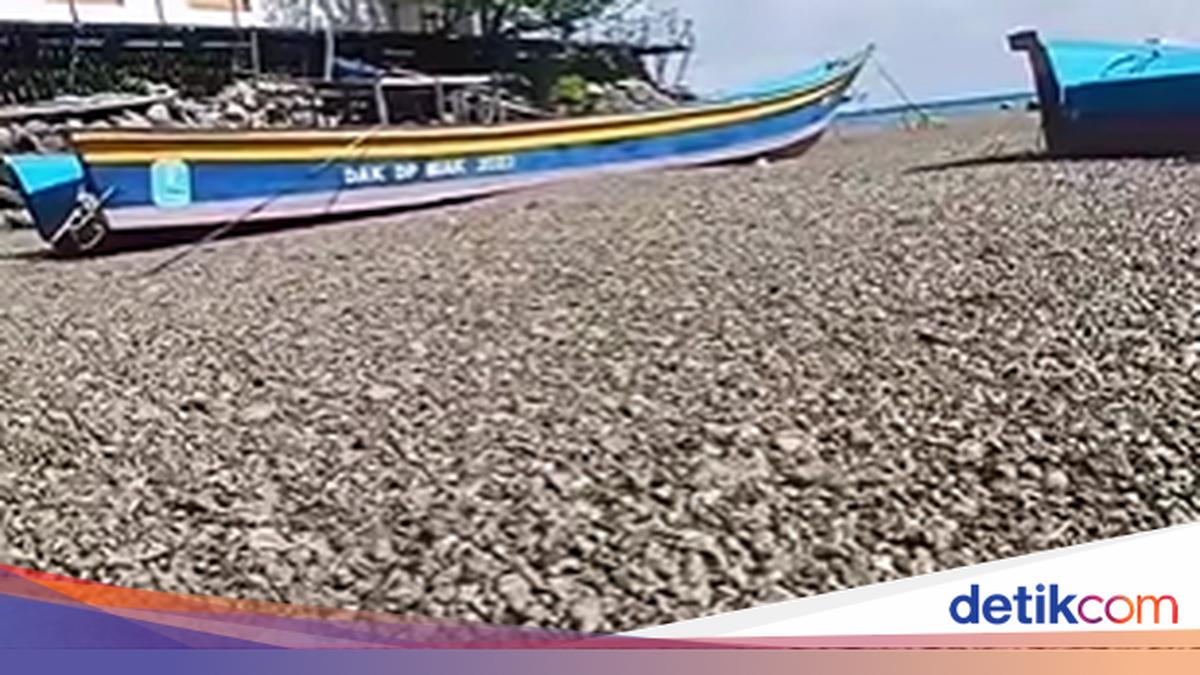 Papua Waters Filled with Pumice from Underwater Volcano, Says BMKG