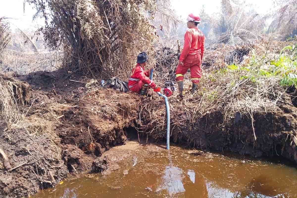 Land Fire in South Aceh Expands to 25 Hectares