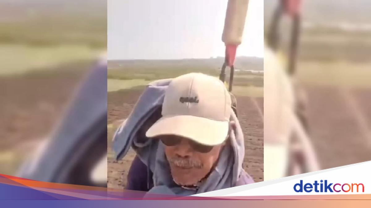 Viral Video of Farmer Commuting by Drone in Tuban, East Java: Here Are the Facts