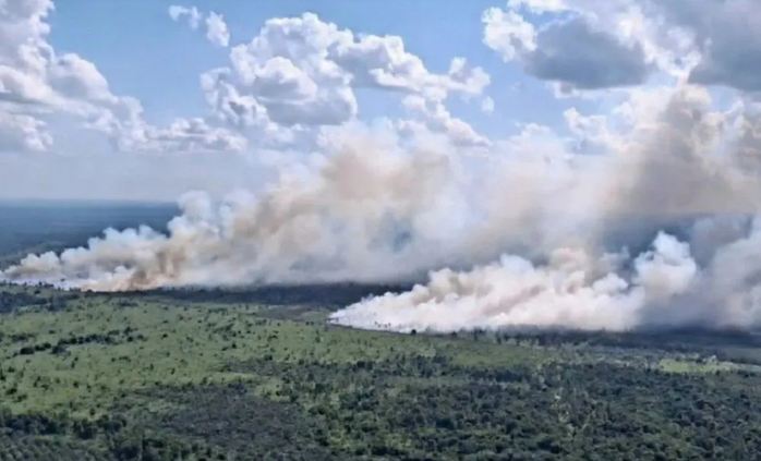 BNPB Deploys Two Water-Bombing Helicopters to Tackle Forest Fires in East Kotawaringin