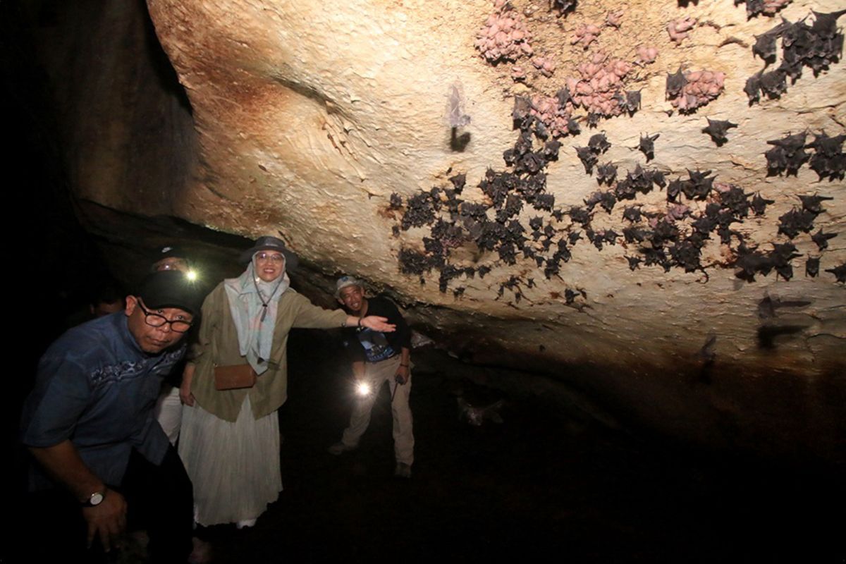 South Kalimantan Partners with BRIN to Study Meratus Archaeological Site, Plans Testing in Australia