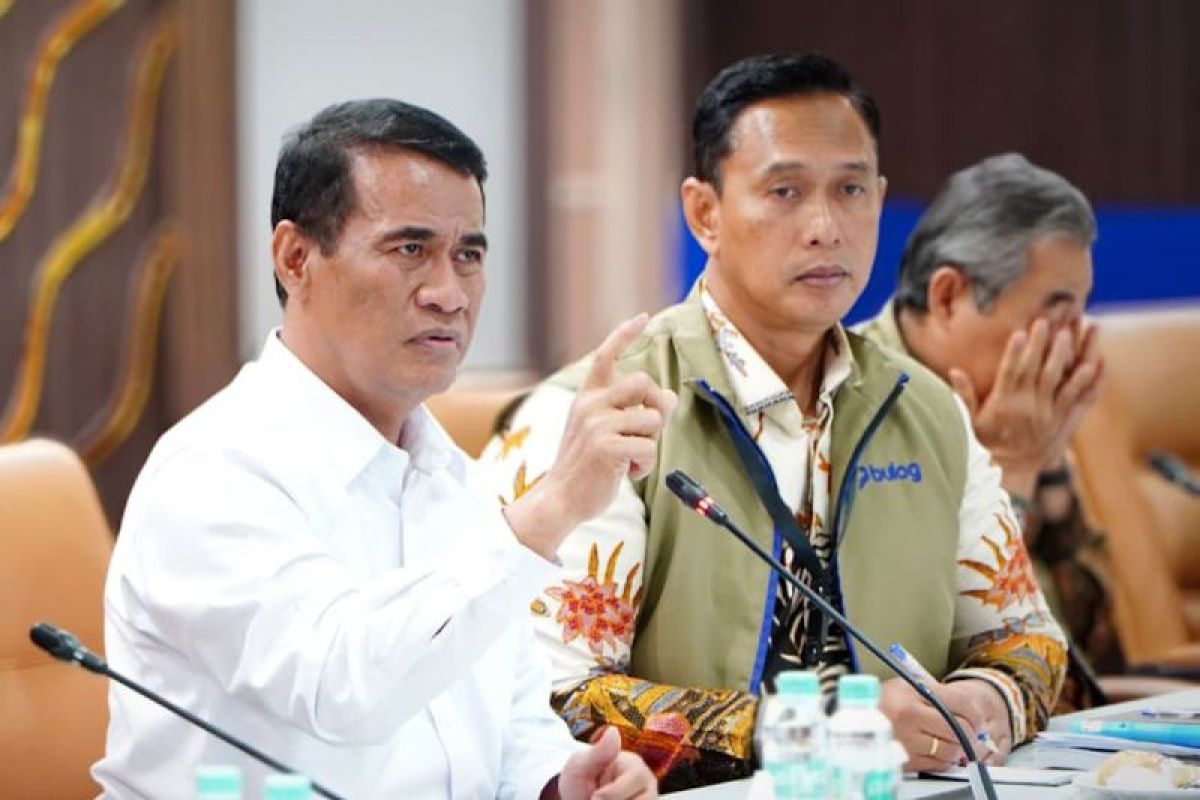 Bapanas Chief: Additional Rice Warehouses in South Papua to Maintain Surplus