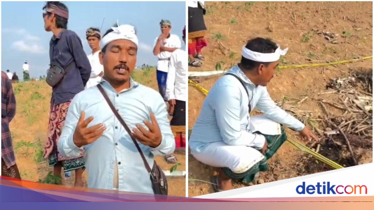 Balinese Hindus Hold Prayer at Tapir Slaughter Site in Mesuji