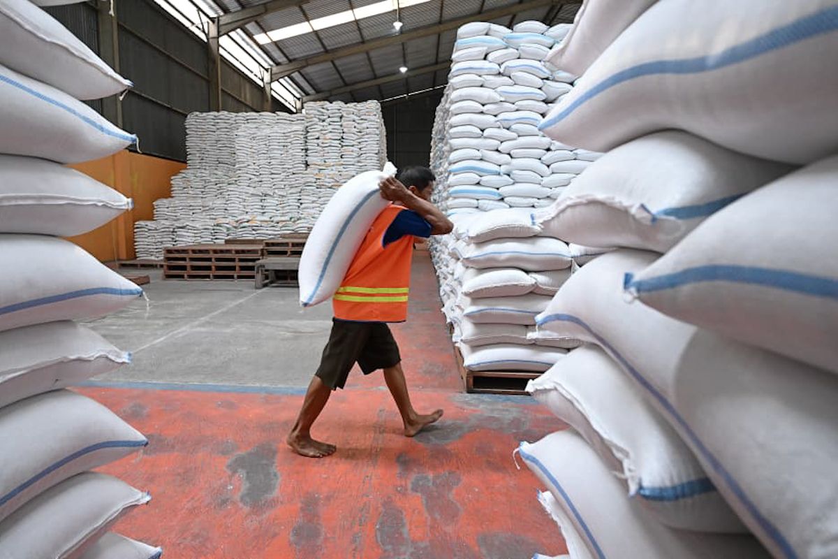 Indonesia's rice price index remains under control, Bapanas