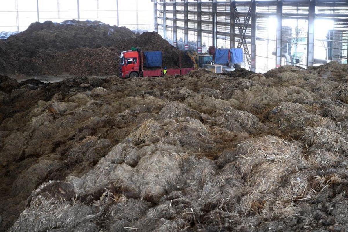 Chinese Research Team Develops High-Value Biochar from Agricultural Waste