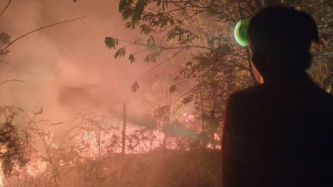 Indonesia Already in Climate Crisis Phase, UGM Expert Warns of Dire Consequences