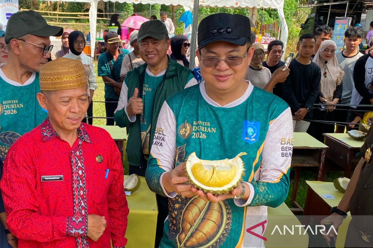 West Bangka Regent Urges Preservation of 'Kelekak' Durian as Cultural Identity