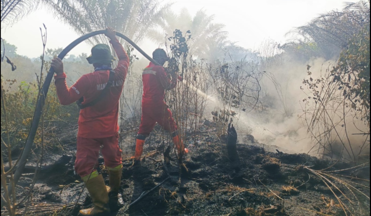 Peatland Fire Engulfs One Hectare in Pekanbaru's Air Hitam