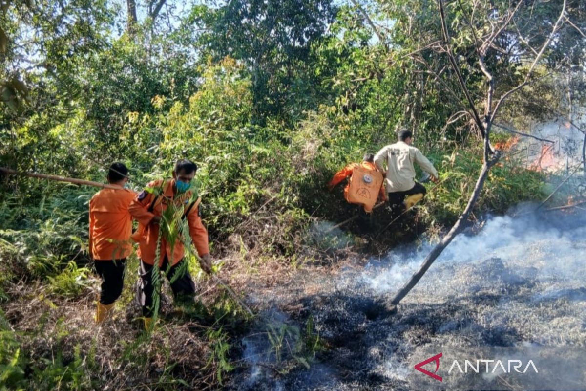 BNPB: Cause of forest and land fires in North Padang Lawas under investigation
