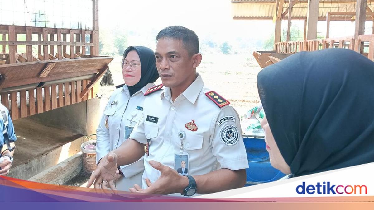Ciangir Prison Chief Credits Imipas Food Security Programme for Boosting Facility's Productivity
