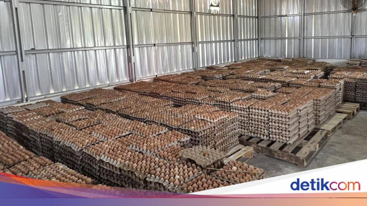 Inmates Earn Rp 800,000 Monthly from Livestock Farming at Ciangir Prison