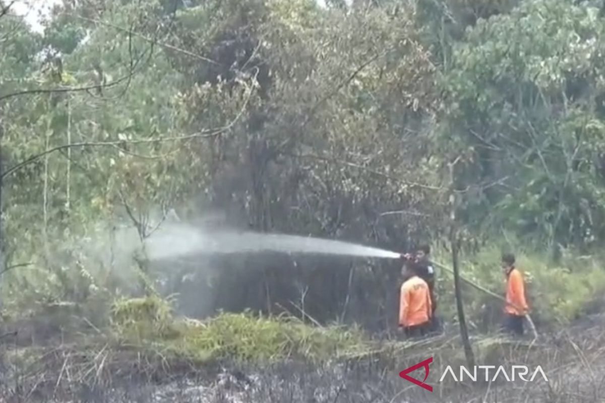 Land fires in Muaro Jambi spread to five locations