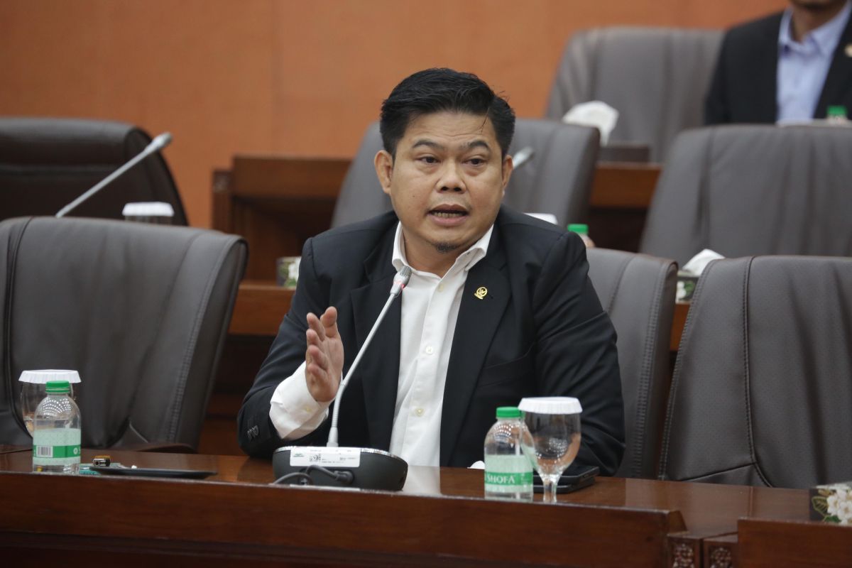 House Member Urges Ministry to Block Unregistered Digital Platforms