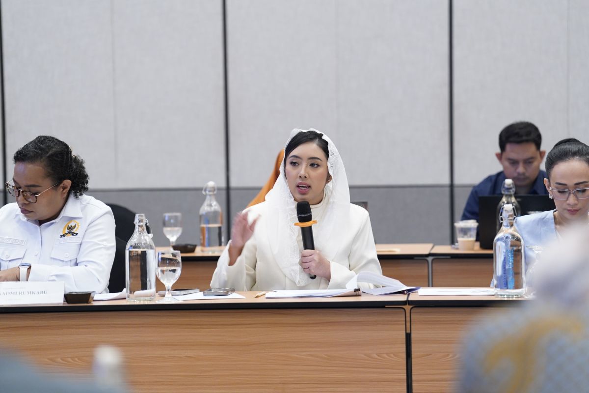 DPR Member Urges State Institutions to Operate Within Their Mandates Amid Coal Corruption Probe