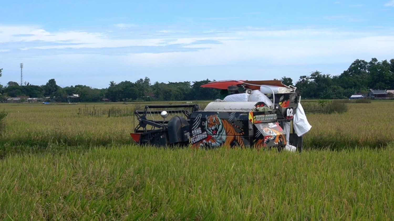 South Sulawesi Exceeds LP2B Target, Secures 587,423 Hectares from Conversion
