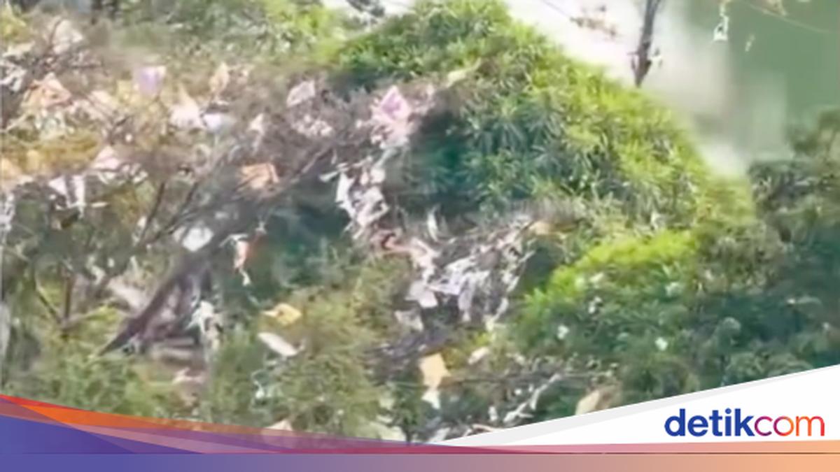 North Jakarta Clears Kites Snagged in 17 Trees Along Sunter River