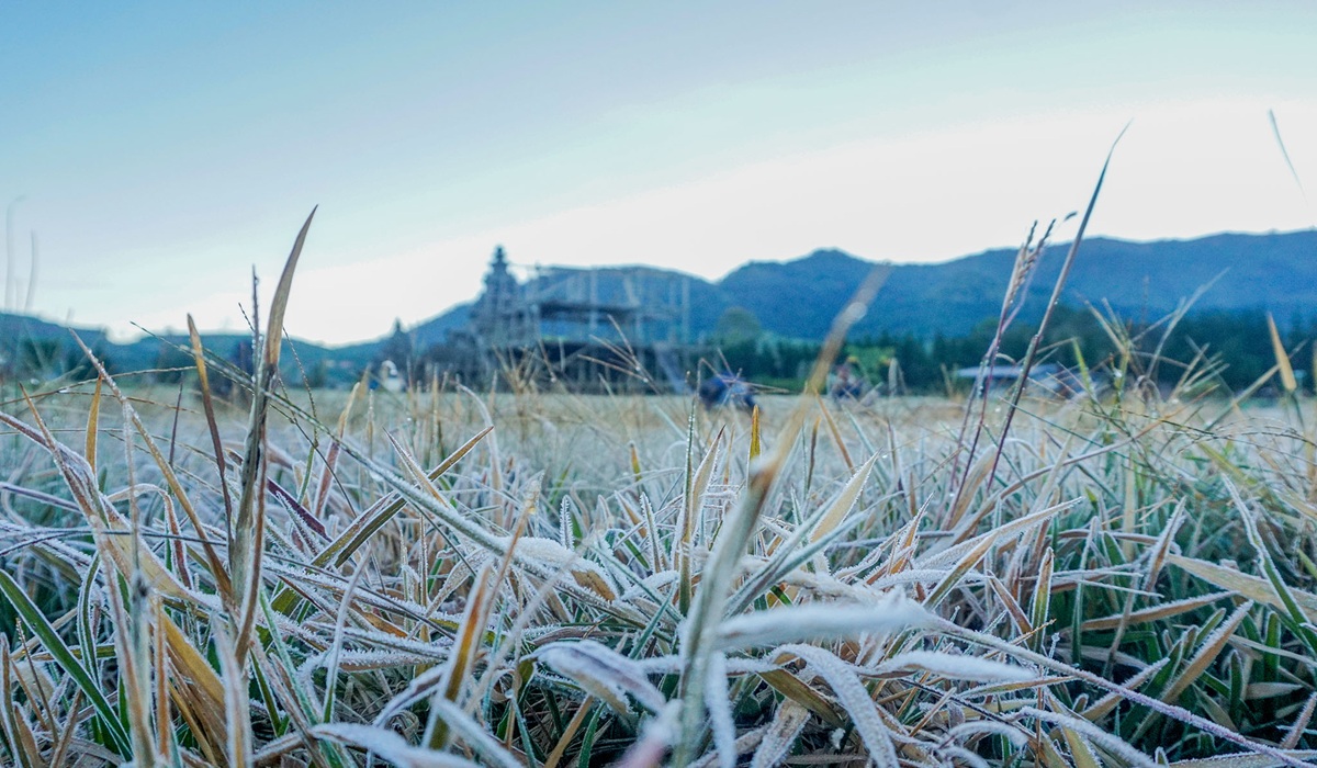 Dieng Frost: Tourists Urged to Brace for Sub-Zero Temperatures