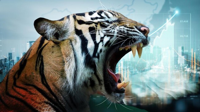 IMF's Latest Top 5 Asian Tigers: Where Does Indonesia Rank?