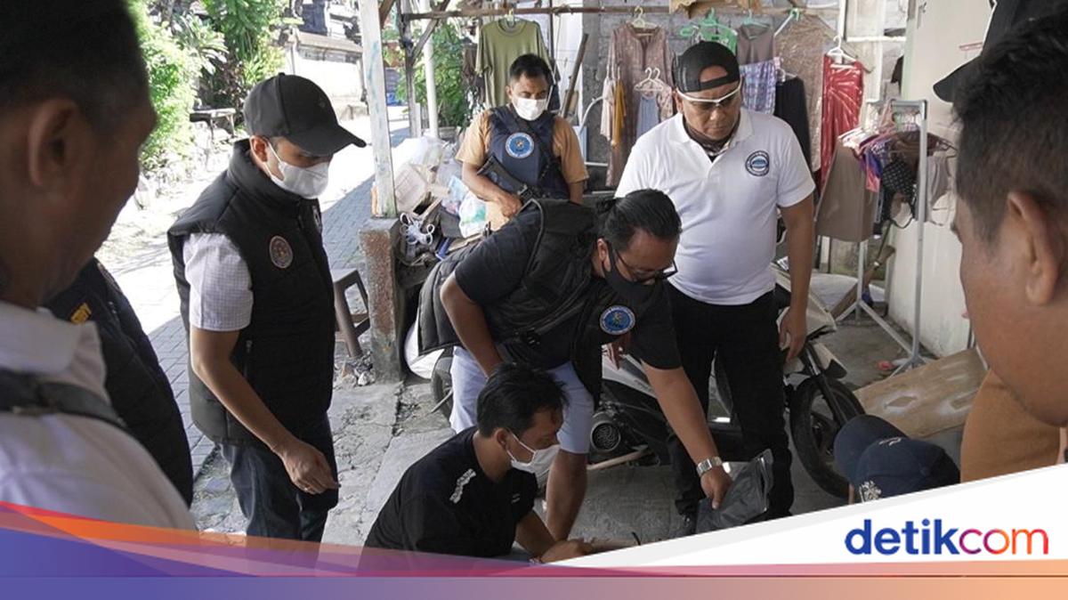 BNNP Bali Seizes 1.4 Kg of Cannabis from Aceh-Bali Syndicate