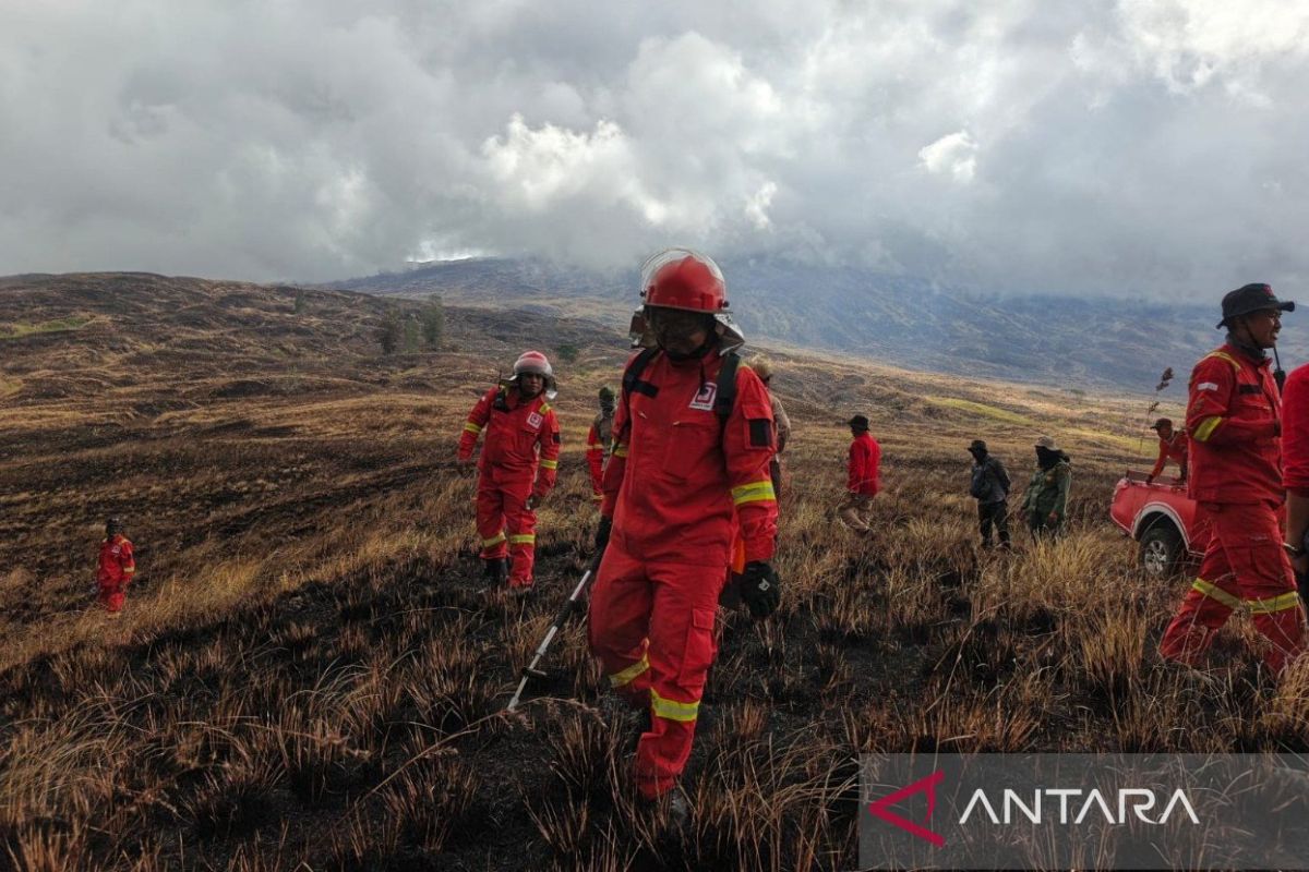 Savanna Fire Engulfs 1,956 Hectares of Mount Tambora National Park on Sumbawa Island