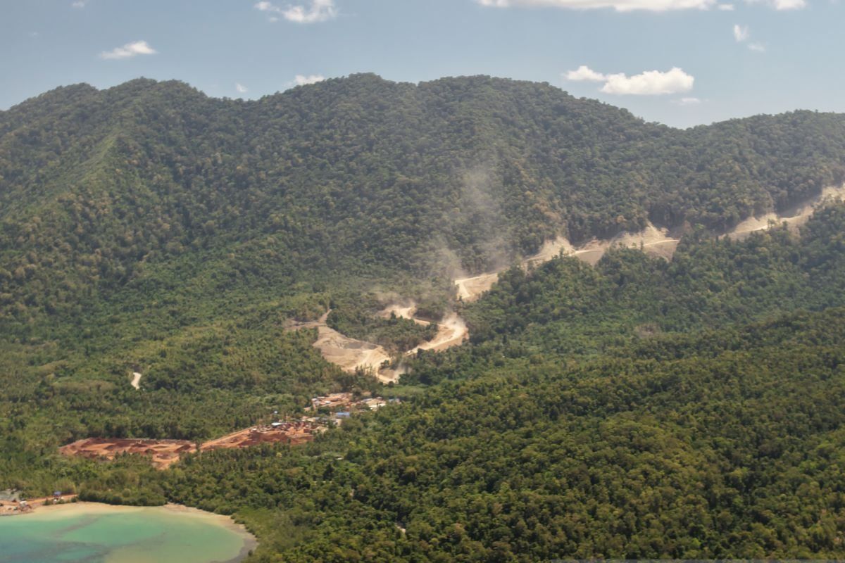 ALTO Sues Banggai Regency Government Over Amdal Document