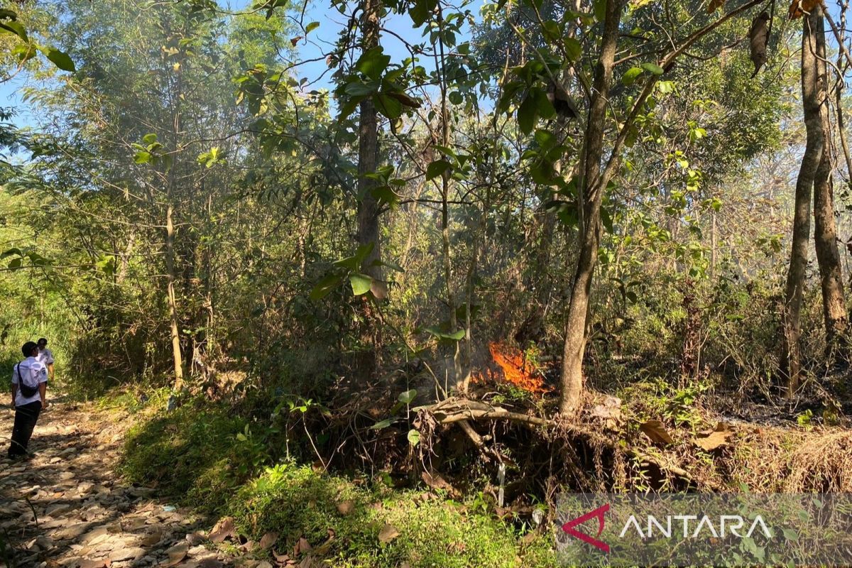 BNPB Ensures Maximum Response to Forest and Land Fires Recurring in Sukoharjo