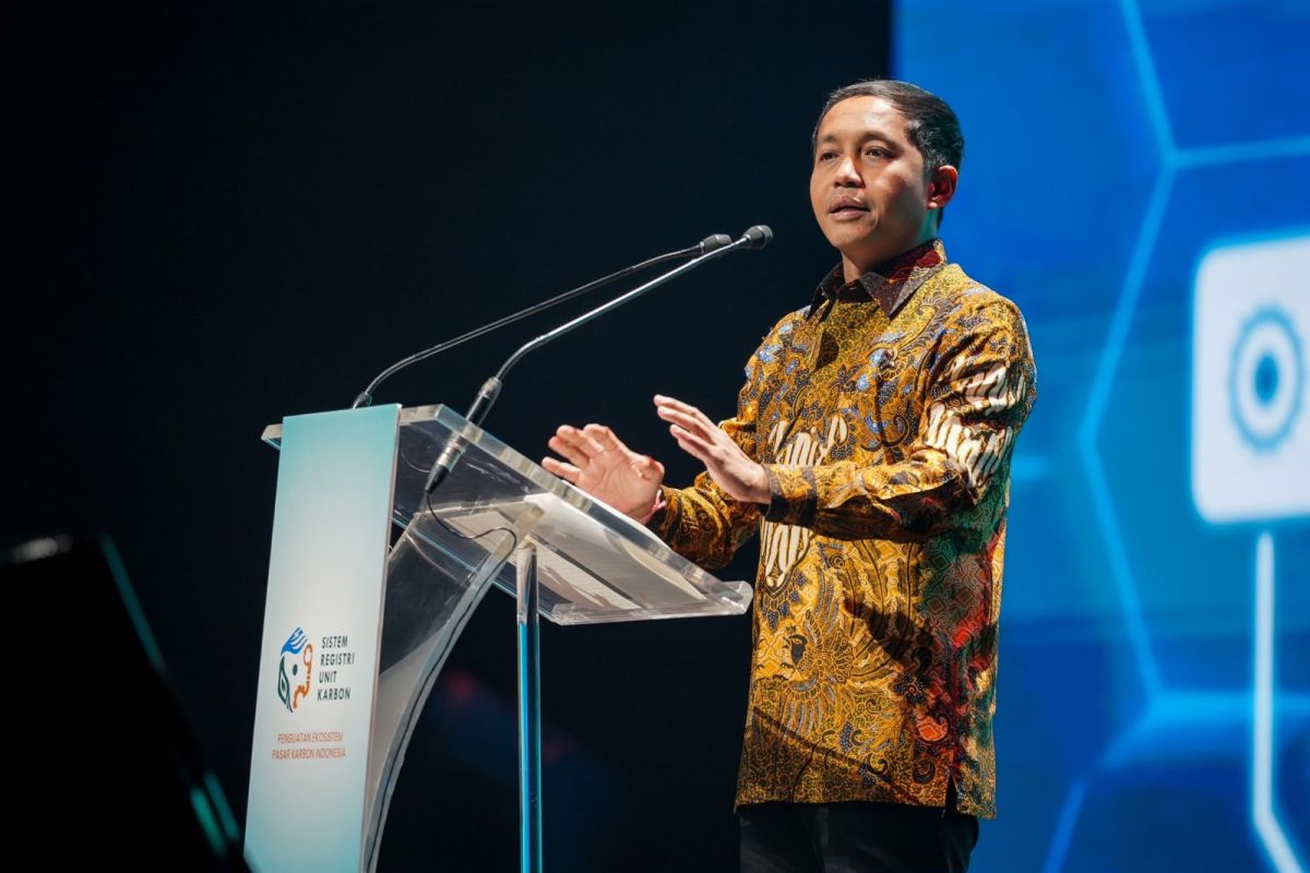 Forestry Minister: Carbon trading strengthens forest protection