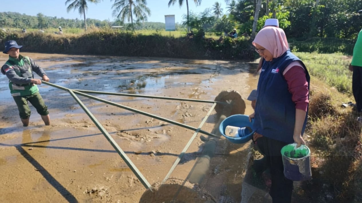 Agricultural Extension Workers in Surade Initiate Self-Funded PM-AAS Rice Demonstration Plot to Boost Production