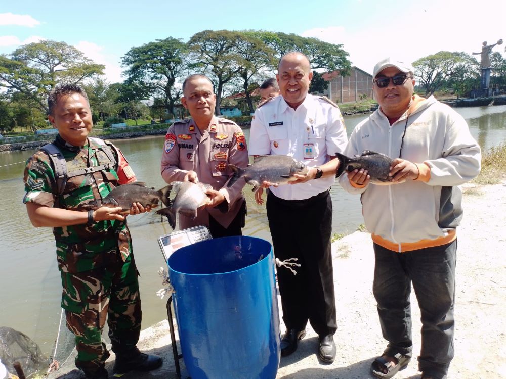 Welcoming Klaten's 222nd Anniversary, Gemblegan Village to Hold 'Memet Ikan' Tradition