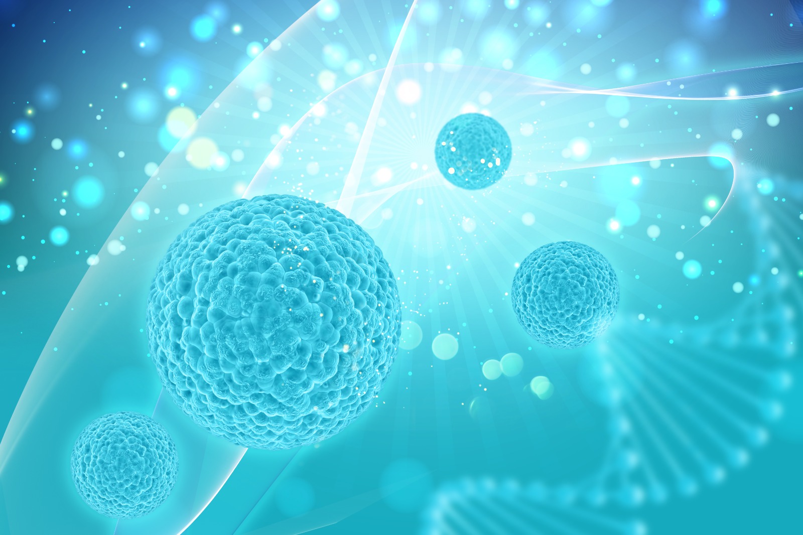 Not Just Egg Cells: Study Reveals Other Factors Behind Declining Female Fertility