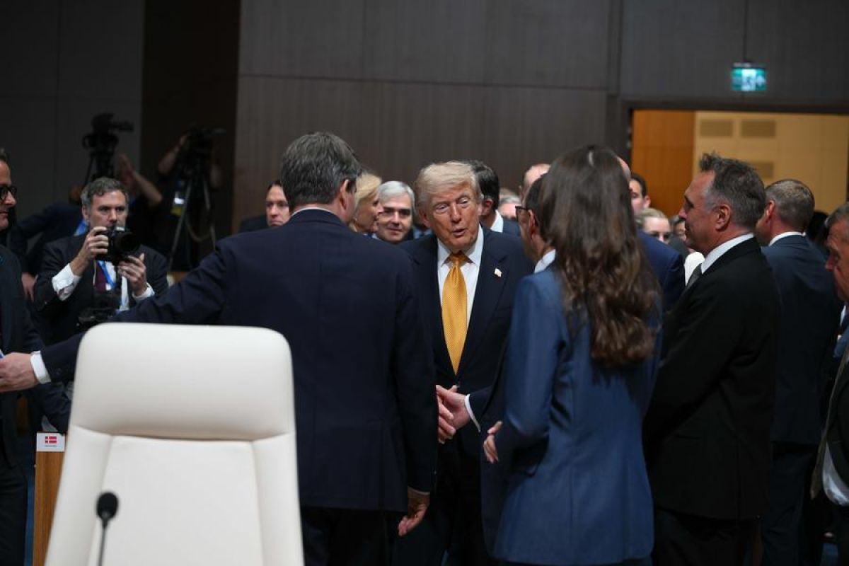 Analysts: Ankara Summit Reflects Fragile NATO Unity