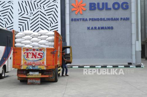 When Rice Weevils Invade Residential Areas