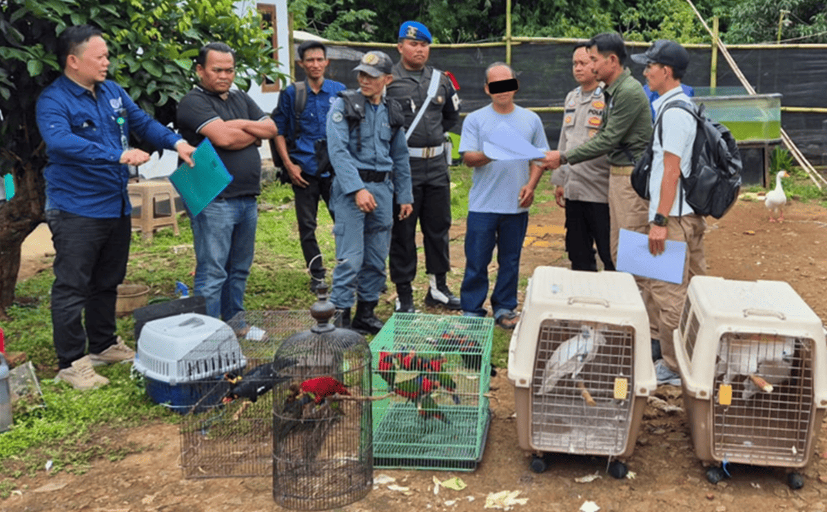 22 Protected Wild Animals Secured by Forestry Ministry in Bogor