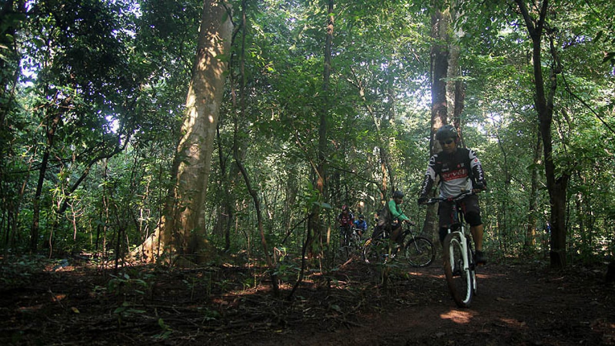 WWF Indonesia Welcomes Forestry Ministry's Plan to Add 70,000 Forest Rangers
