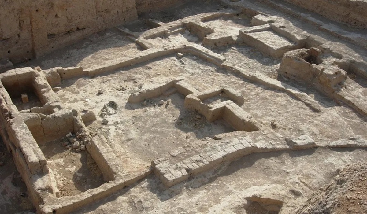 6,000-Year-Old Infant Fossil in Syria Reveals Oldest Case of Child Abuse